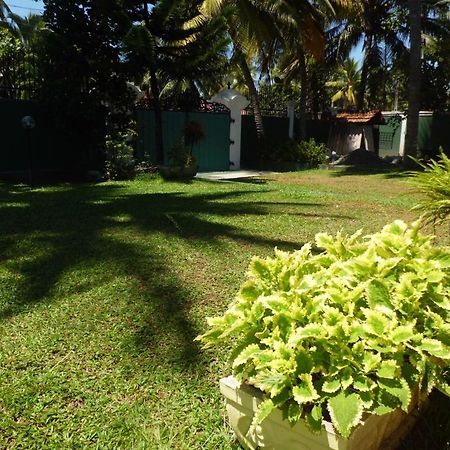 Villa W Bentota Exteriör bild