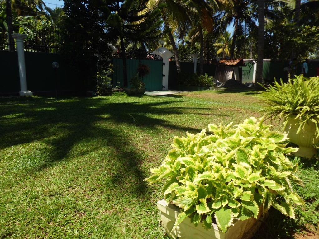 Villa W Bentota Exteriör bild